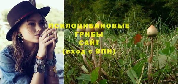 гашишное масло Осинники