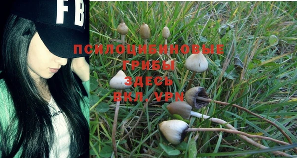 не бодяженный Остров