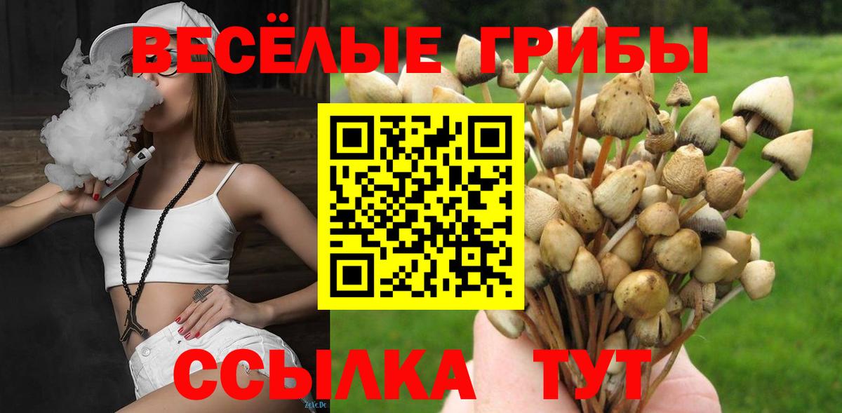 Псилоцибиновые грибы GOLDEN TEACHER  Вход с VPN  Нягань 
